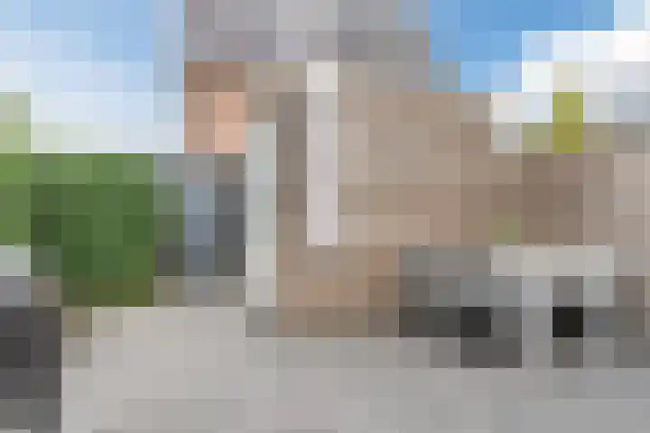 Dissel 25 Best thumbnail 39