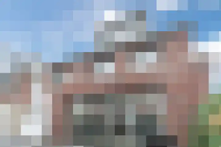 Dissel 25 Best thumbnail 7