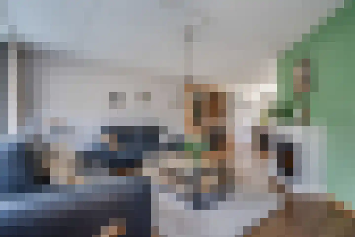Dissel 26 Hasselt thumbnail 12