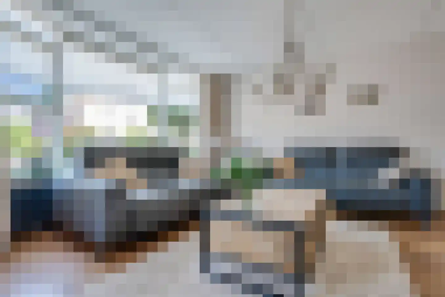 Dissel 26 Hasselt thumbnail 13