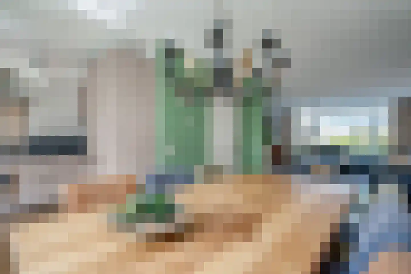 Dissel 26 Hasselt thumbnail 15