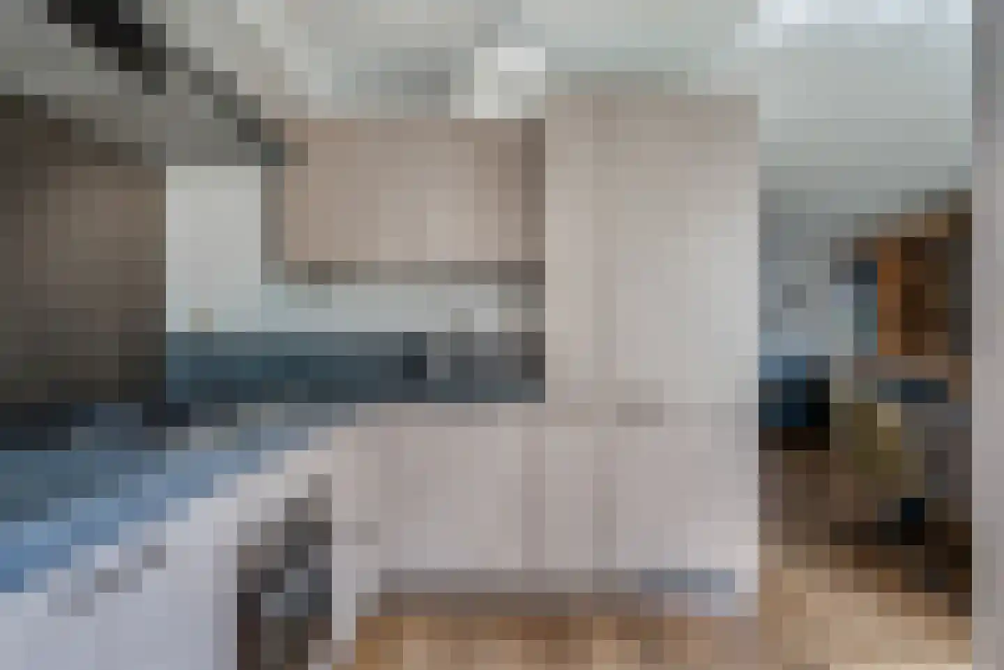 Dissel 26 Hasselt thumbnail 18