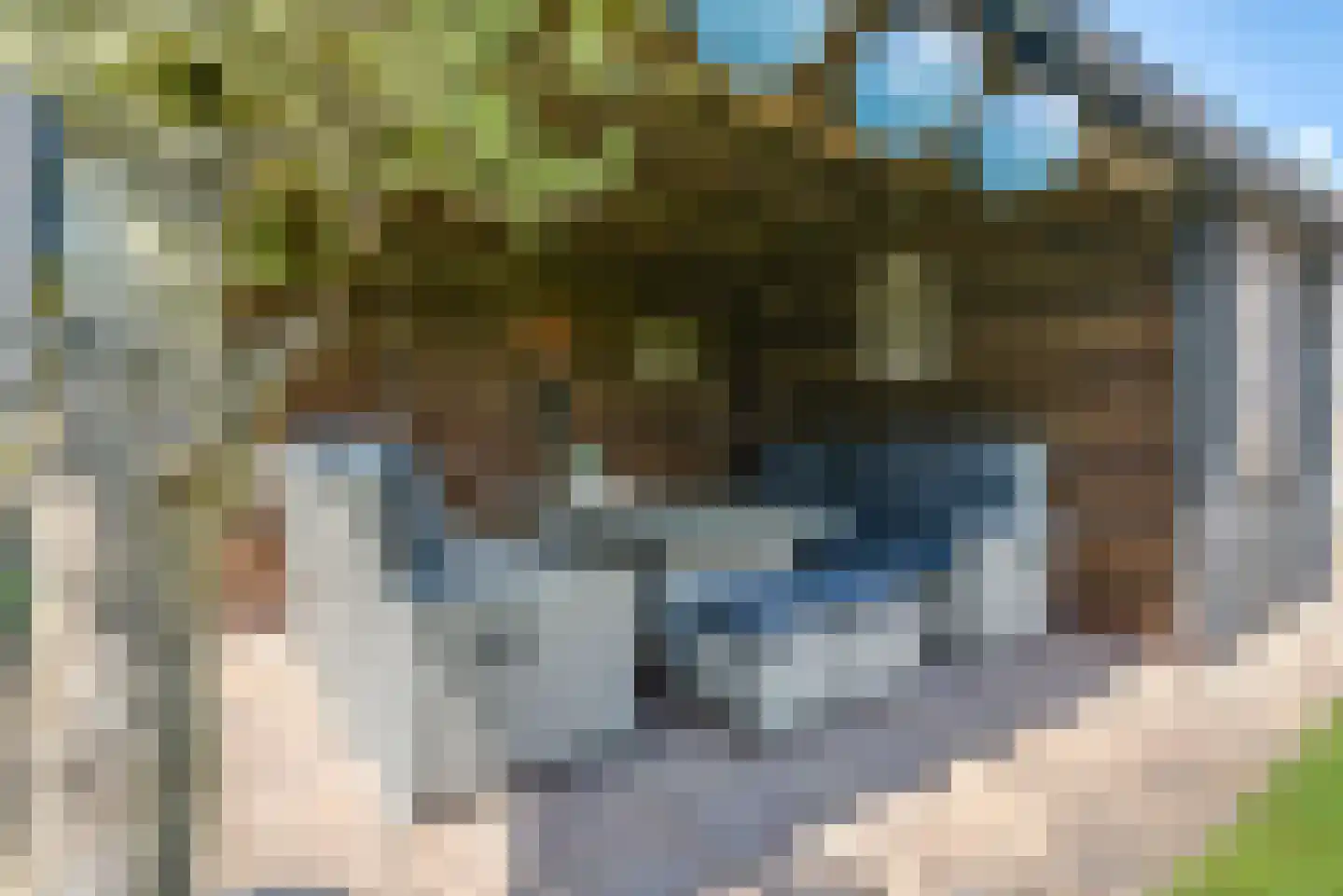 Dissel 26 Hasselt thumbnail 23