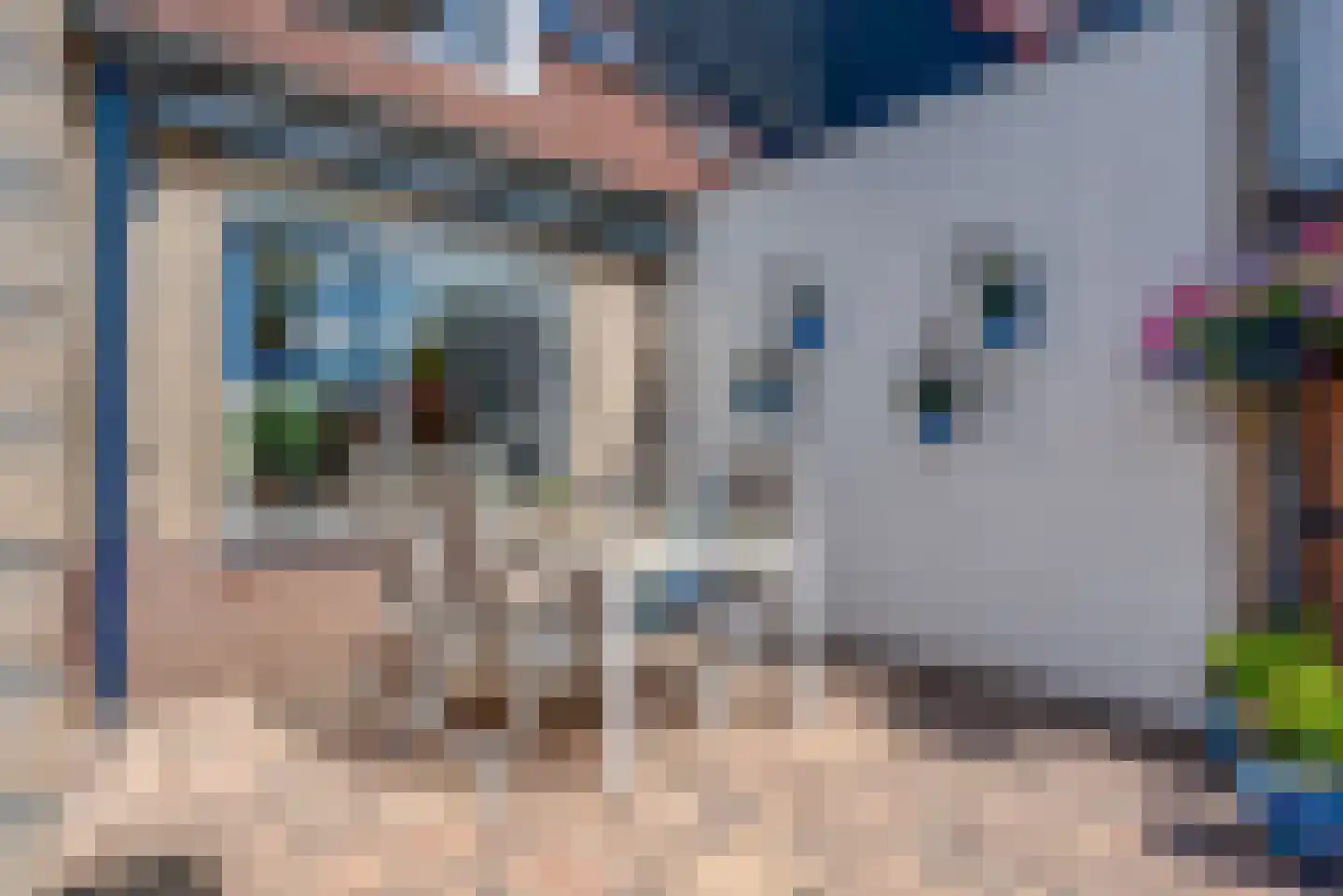 Dissel 26 Hasselt thumbnail 25