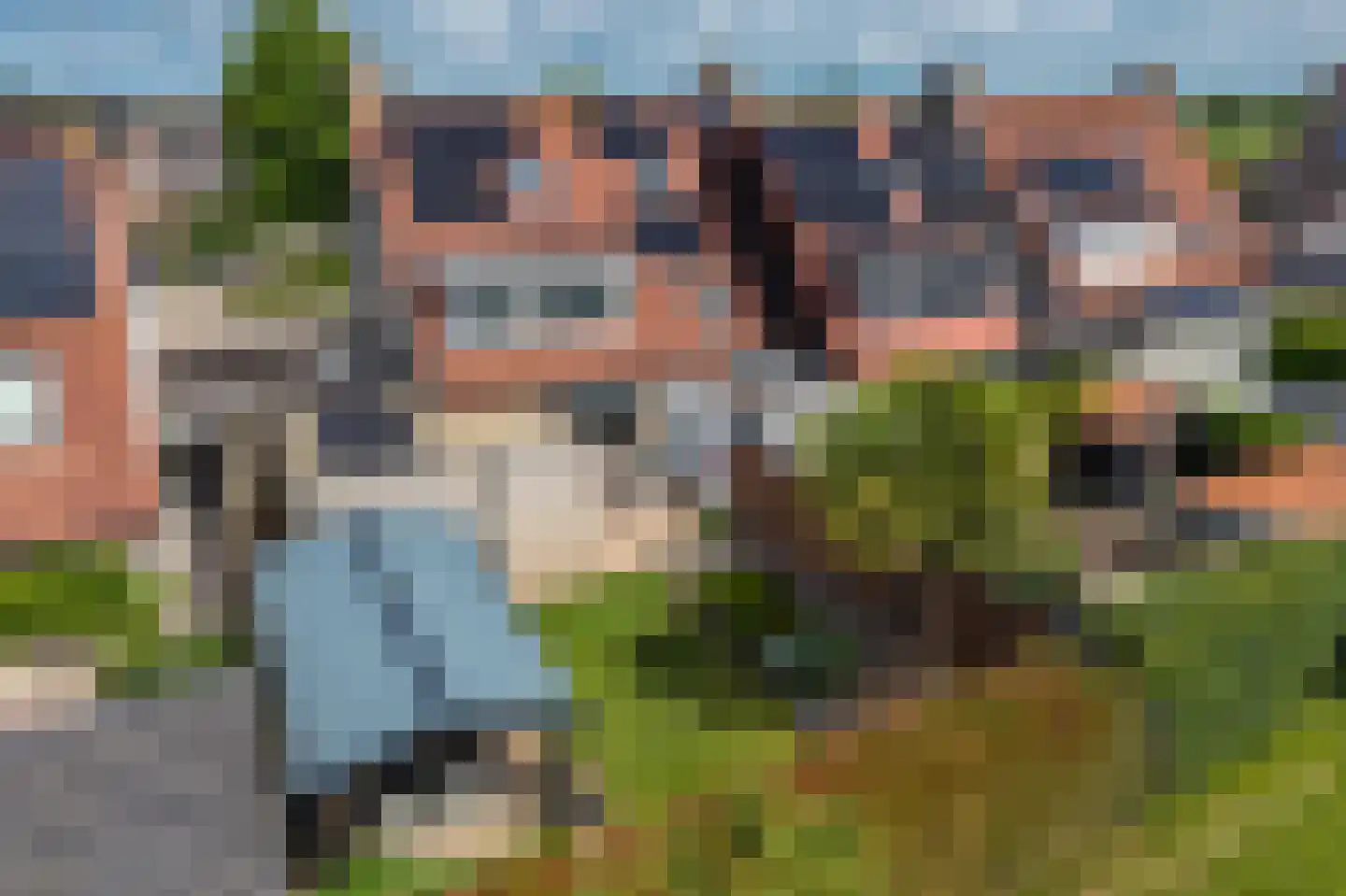 Dissel 26 Hasselt thumbnail 26