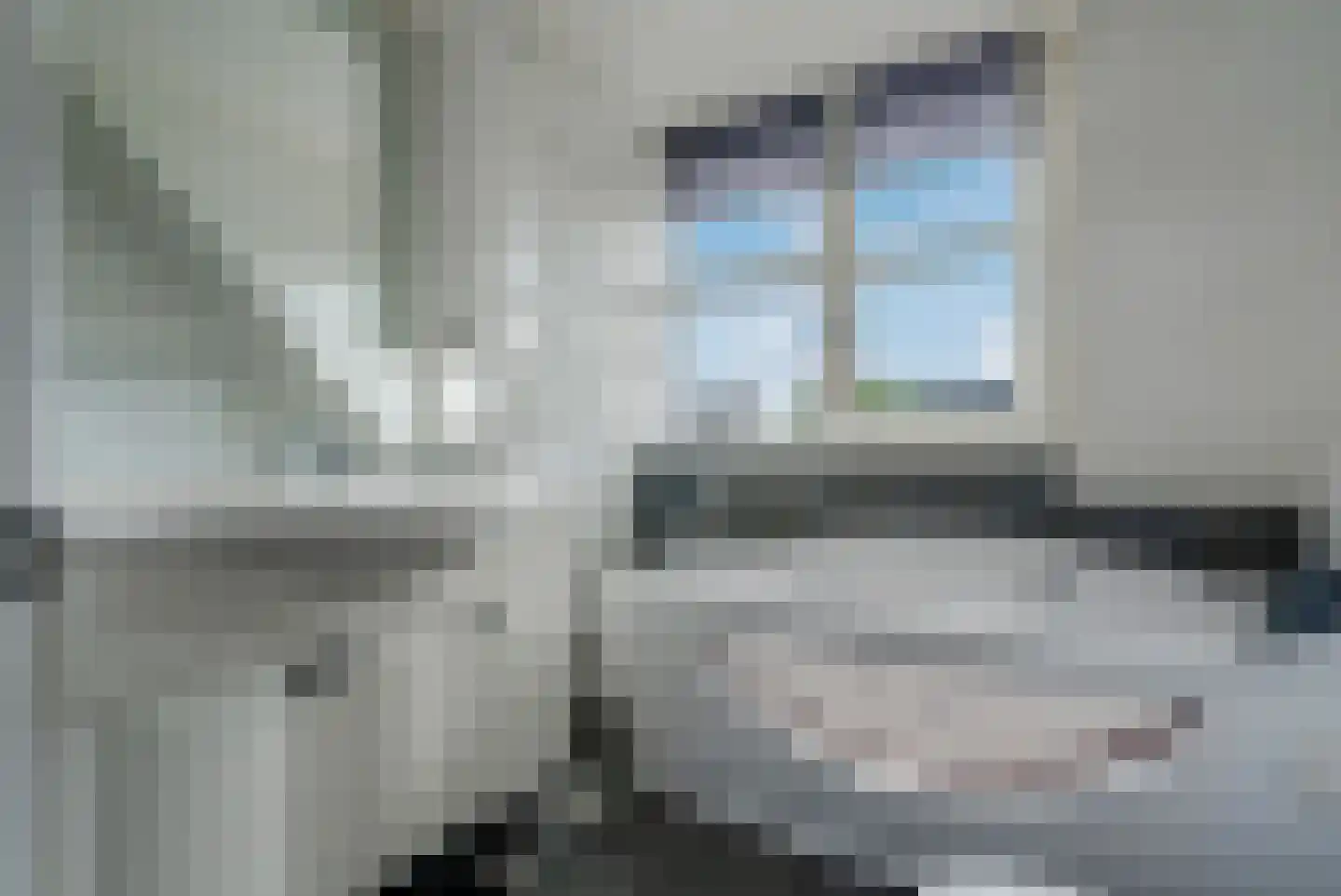 Dissel 26 Hasselt thumbnail 34