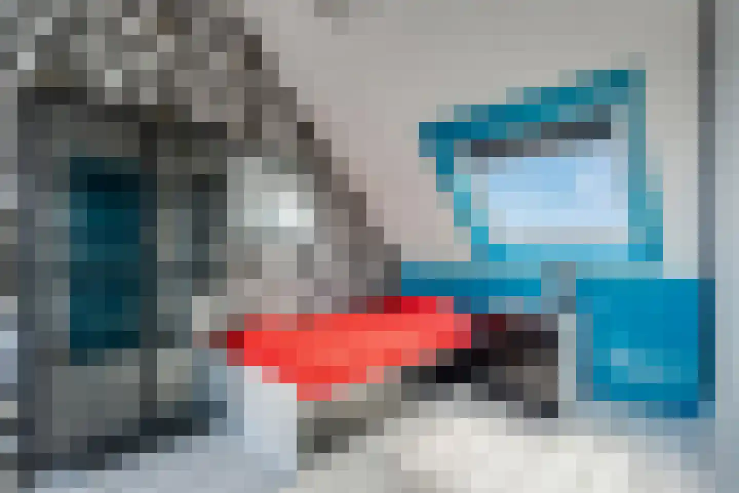Dissel 26 Hasselt thumbnail 37
