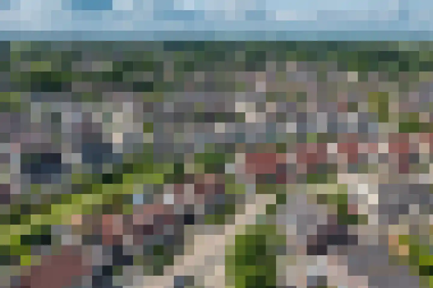 Dissel 26 Hasselt thumbnail 42
