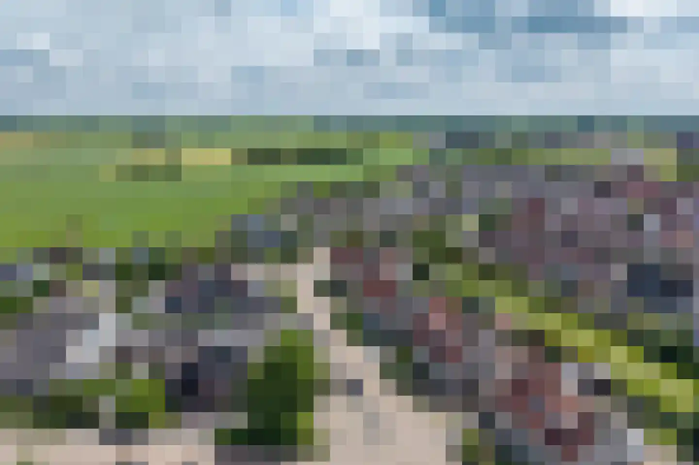 Dissel 26 Hasselt thumbnail 43
