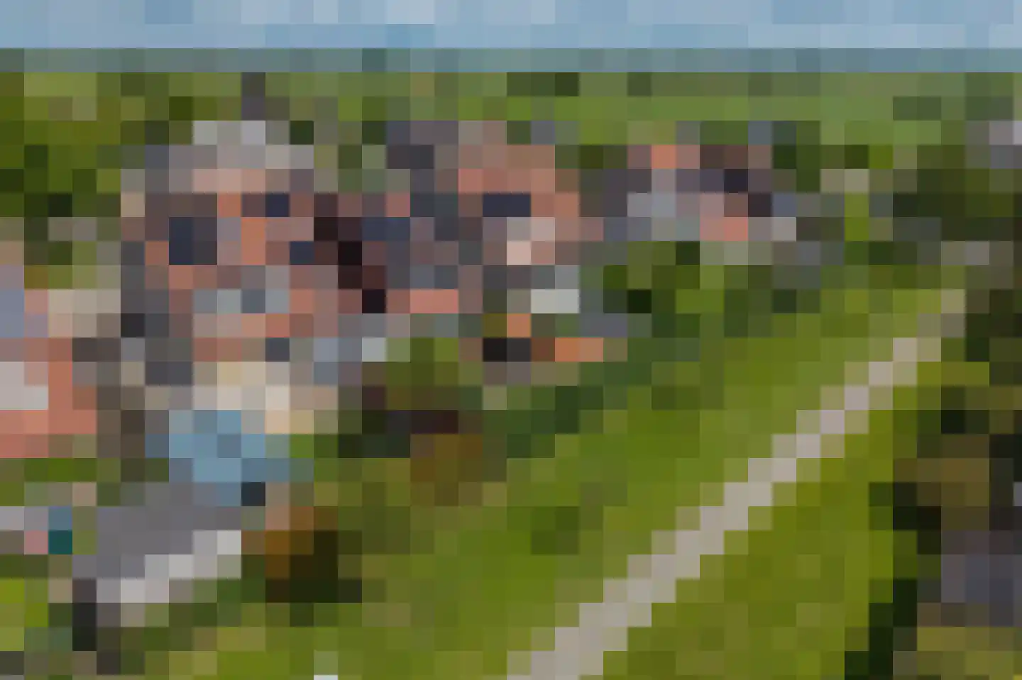 Dissel 26 Hasselt thumbnail 47