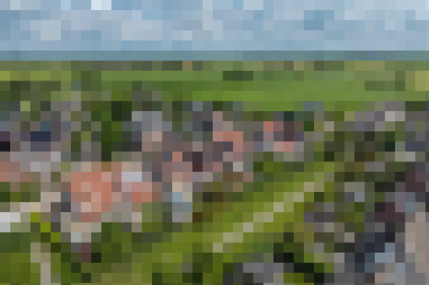 Dissel 26 Hasselt thumbnail 49