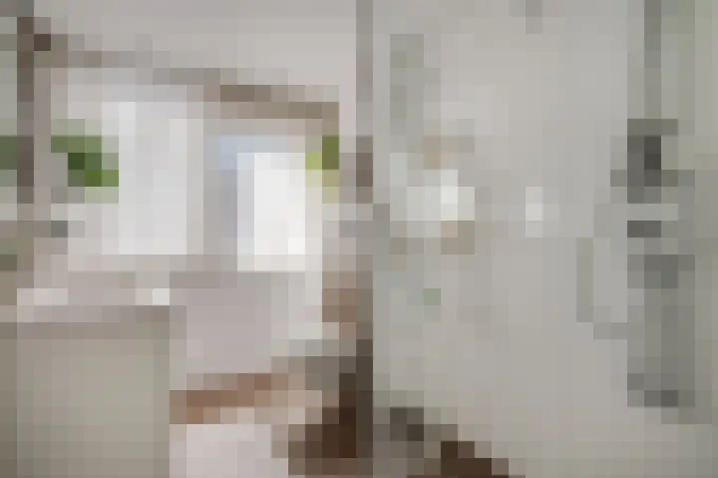 Dissel 27 Veenendaal thumbnail 17