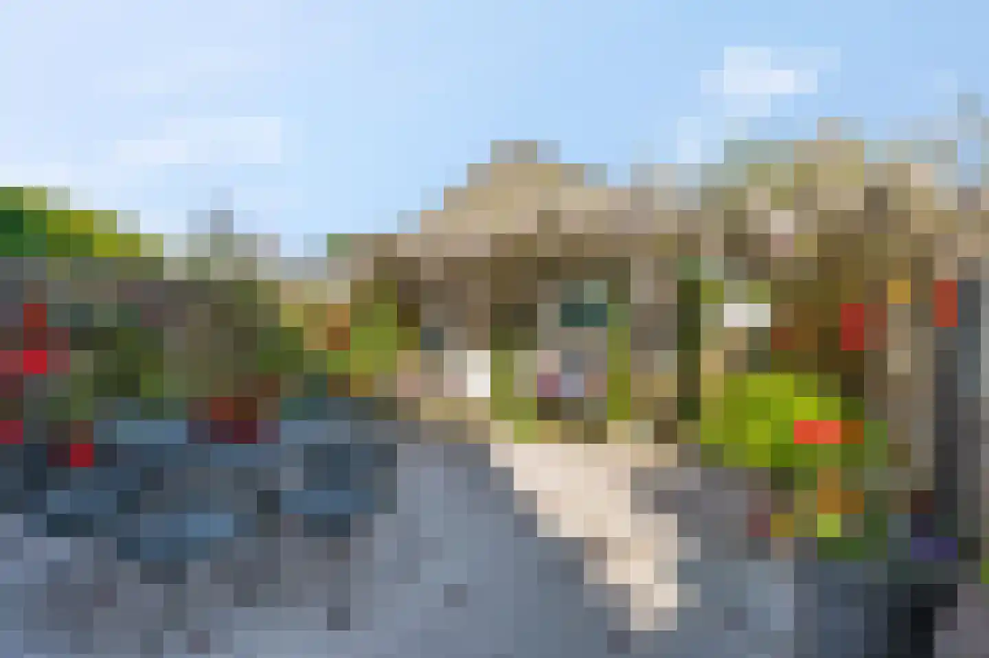Dissel 27 Veenendaal thumbnail 22