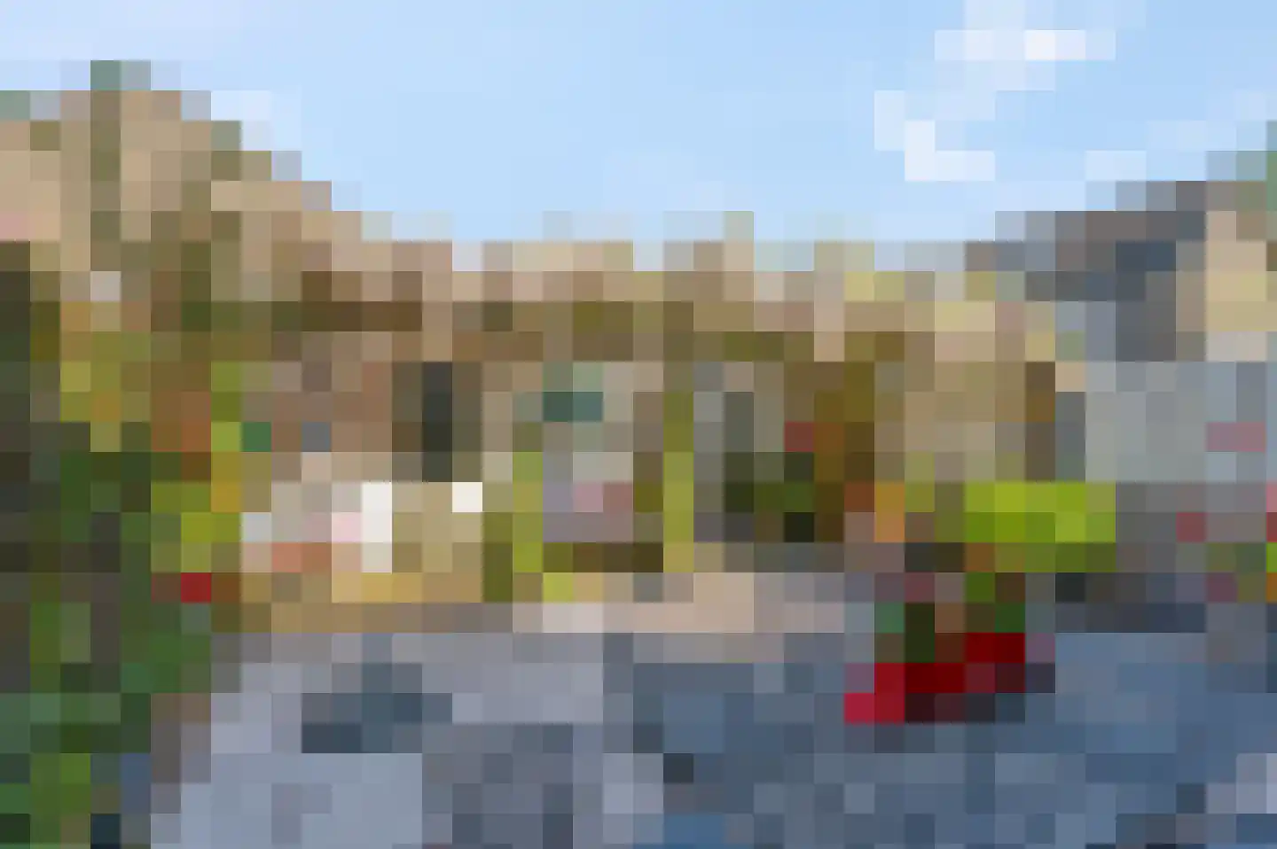 Dissel 27 Veenendaal thumbnail 23