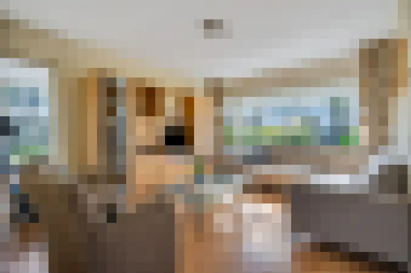 Dissel 27 Veenendaal thumbnail 7