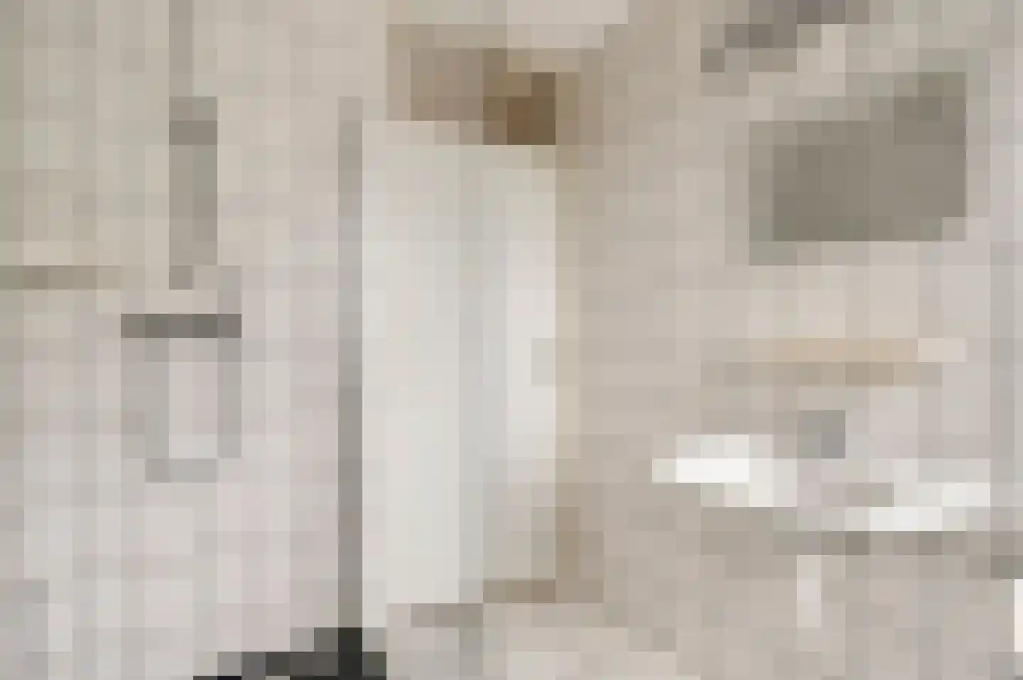 Dissel 29 America thumbnail 33