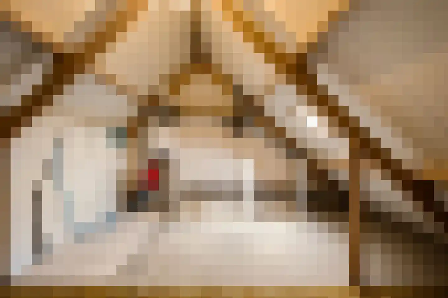 Dissel 29 America thumbnail 35