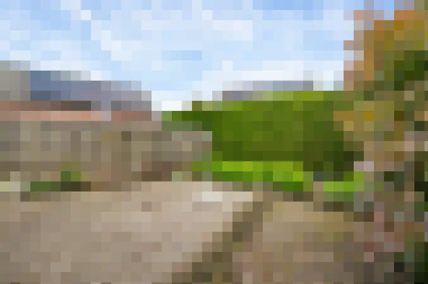 Dissel 29 America thumbnail 37