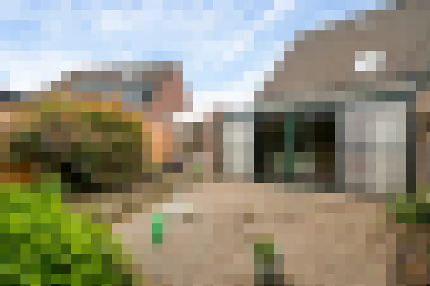 Dissel 29 America thumbnail 38