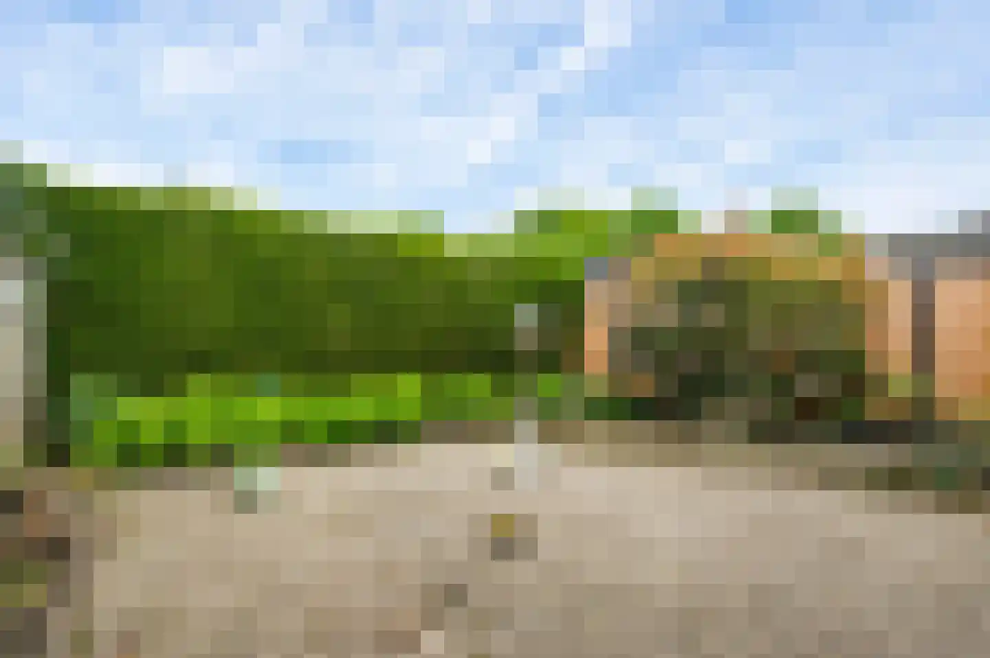 Dissel 29 America thumbnail 4