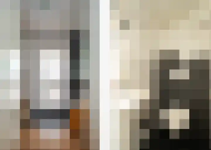Dissel 3 Hasselt thumbnail 10