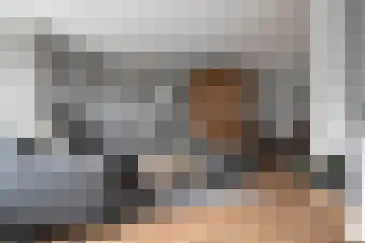 Dissel 3 Hasselt thumbnail 12
