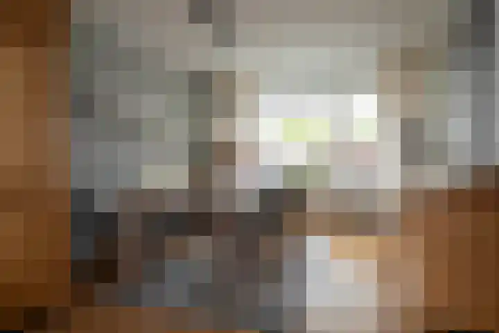 Dissel 3 Hasselt thumbnail 13