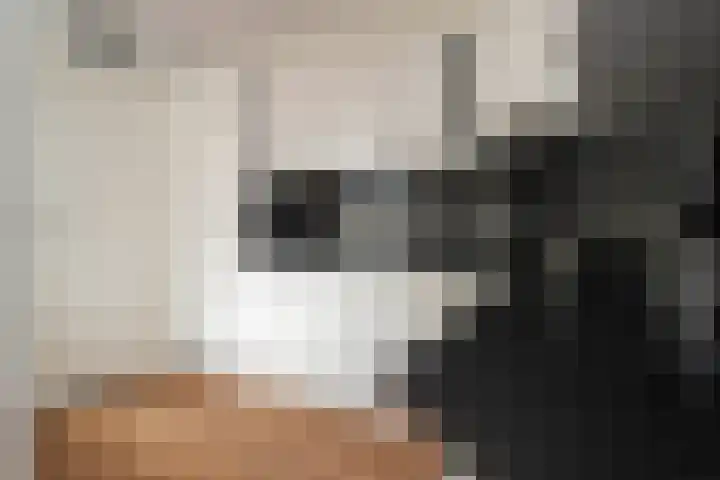 Dissel 3 Hasselt thumbnail 15