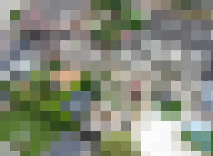 Dissel 3 Hasselt thumbnail 16