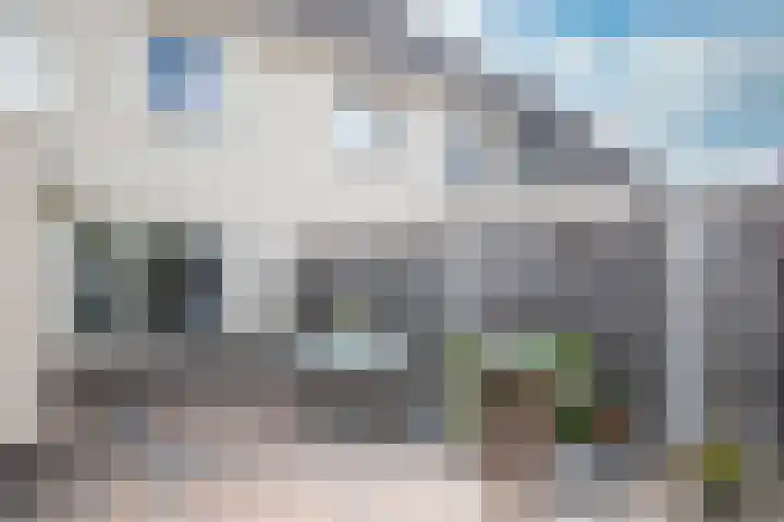 Dissel 3 Hasselt thumbnail 17
