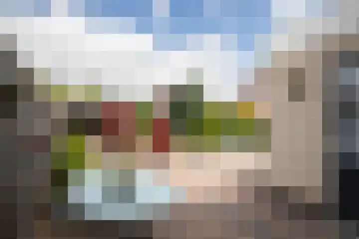 Dissel 3 Hasselt thumbnail 18