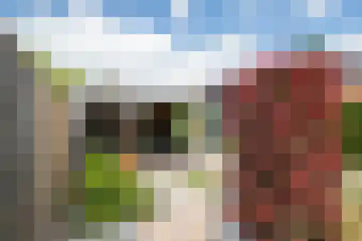 Dissel 3 Hasselt thumbnail 19