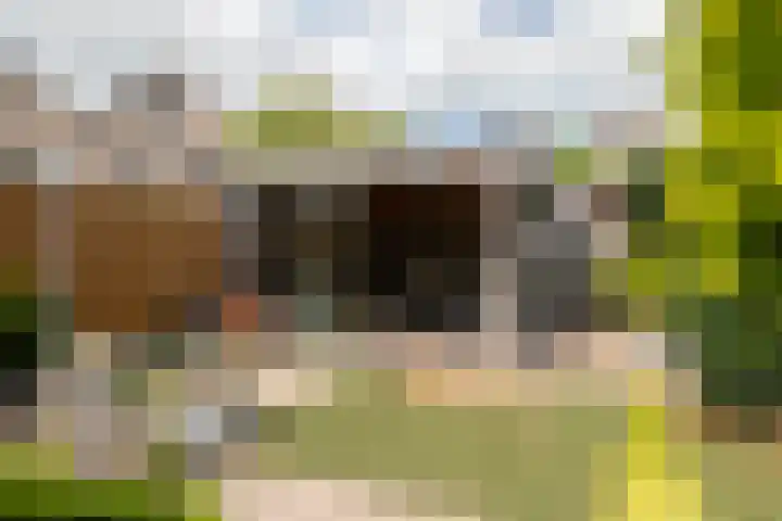 Dissel 3 Hasselt thumbnail 20