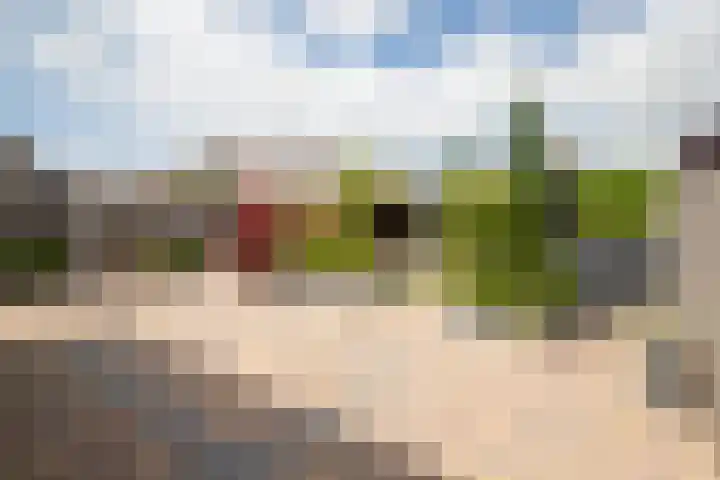 Dissel 3 Hasselt thumbnail 21