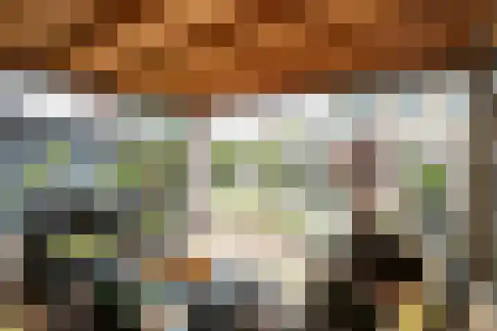 Dissel 3 Hasselt thumbnail 23