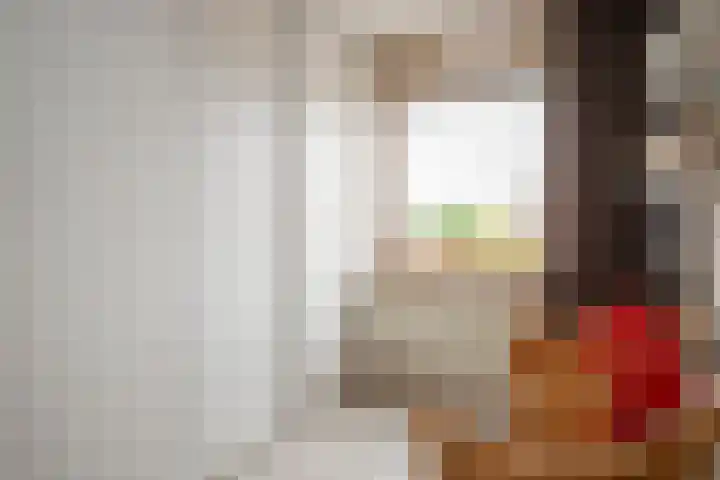 Dissel 3 Hasselt thumbnail 26