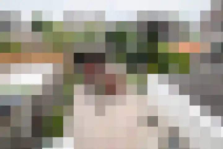 Dissel 3 Hasselt thumbnail 27