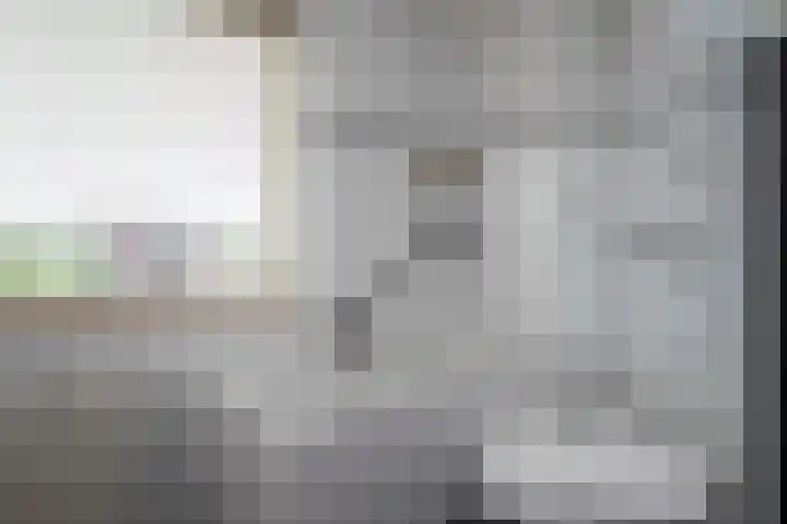 Dissel 3 Hasselt thumbnail 29