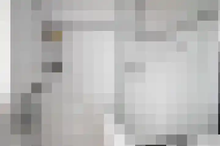 Dissel 3 Hasselt thumbnail 30