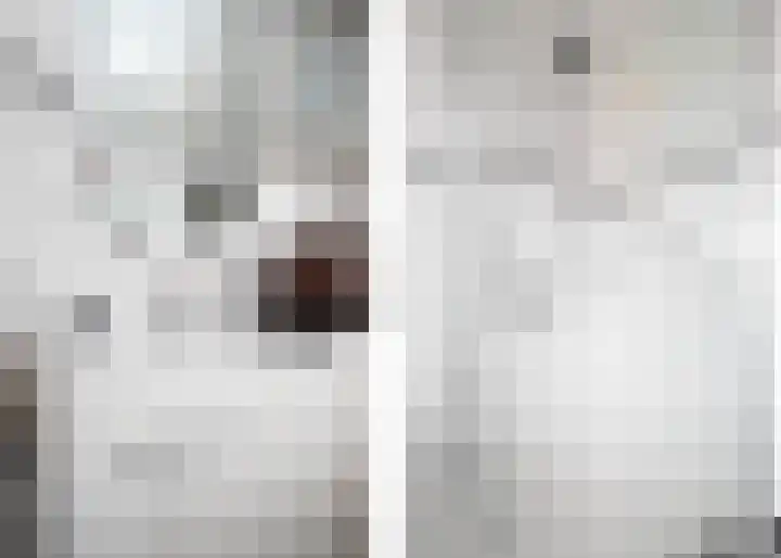 Dissel 3 Hasselt thumbnail 31