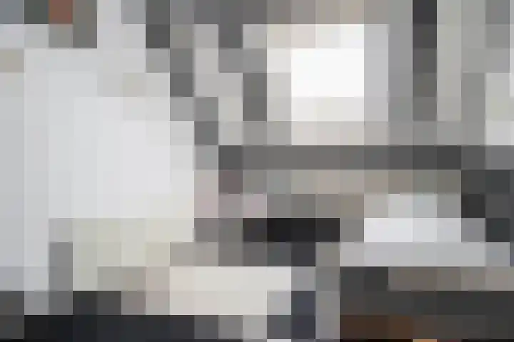 Dissel 3 Hasselt thumbnail 33