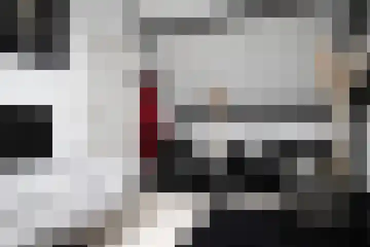 Dissel 3 Hasselt thumbnail 34