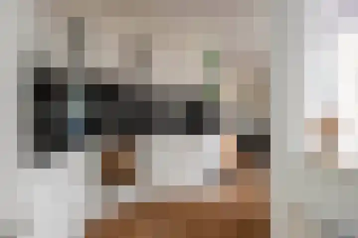 Dissel 3 Hasselt thumbnail 4