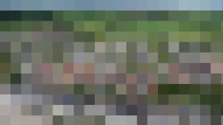 Dissel 3 Hasselt thumbnail 6