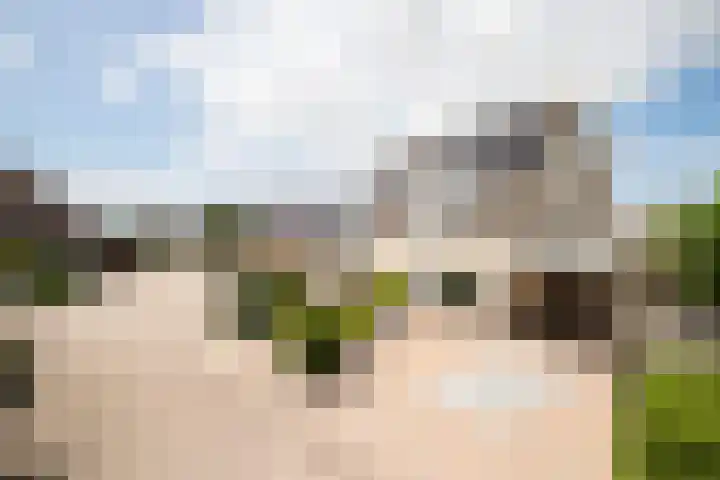 Dissel 3 Hasselt thumbnail 7