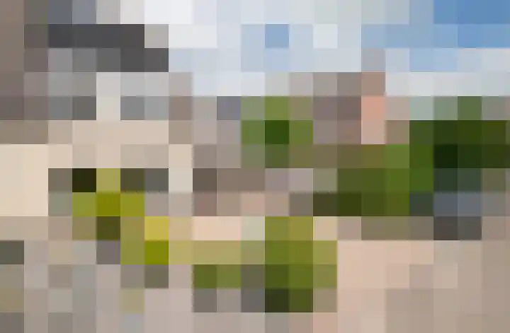 Dissel 3 Hasselt thumbnail 8
