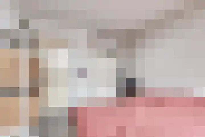 Dissel 31 Huissen thumbnail 14