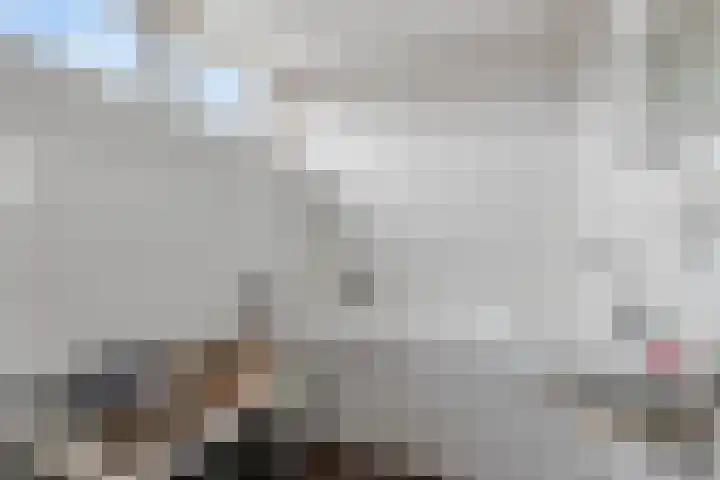 Dissel 31 Huissen thumbnail 17