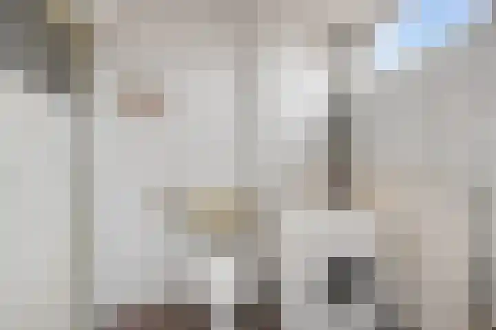 Dissel 31 Huissen thumbnail 18