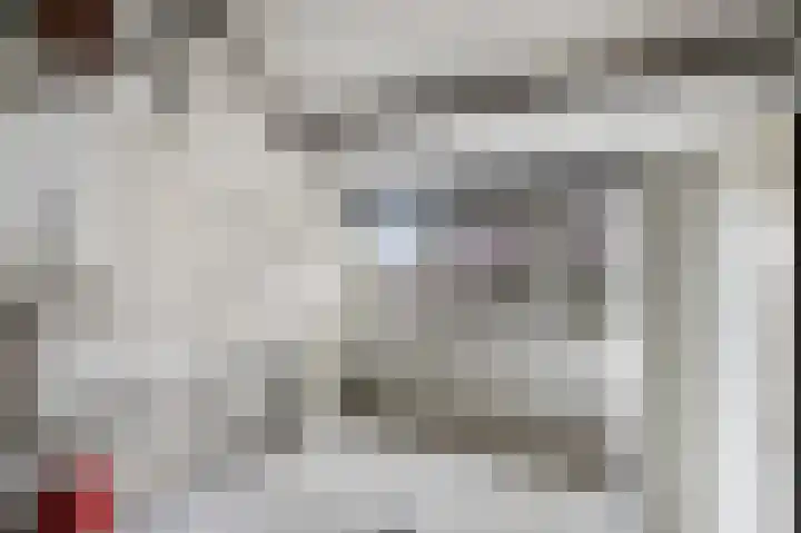 Dissel 31 Huissen thumbnail 21